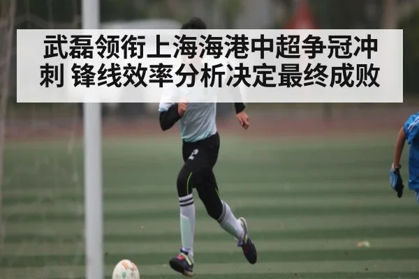 武磊领衔上海海港中超争冠冲刺 锋线效率分析决定最终成败 | kaiyun