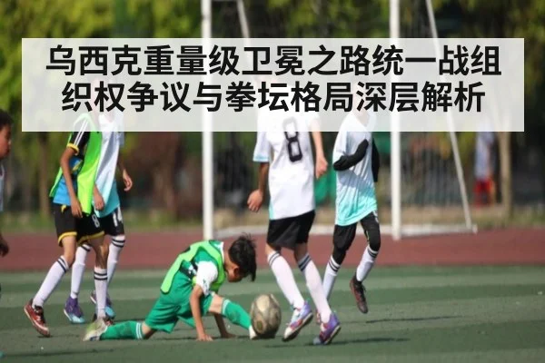 乌西克重量级卫冕之路统一战组织权争议与拳坛格局深层解析 | kaiyun